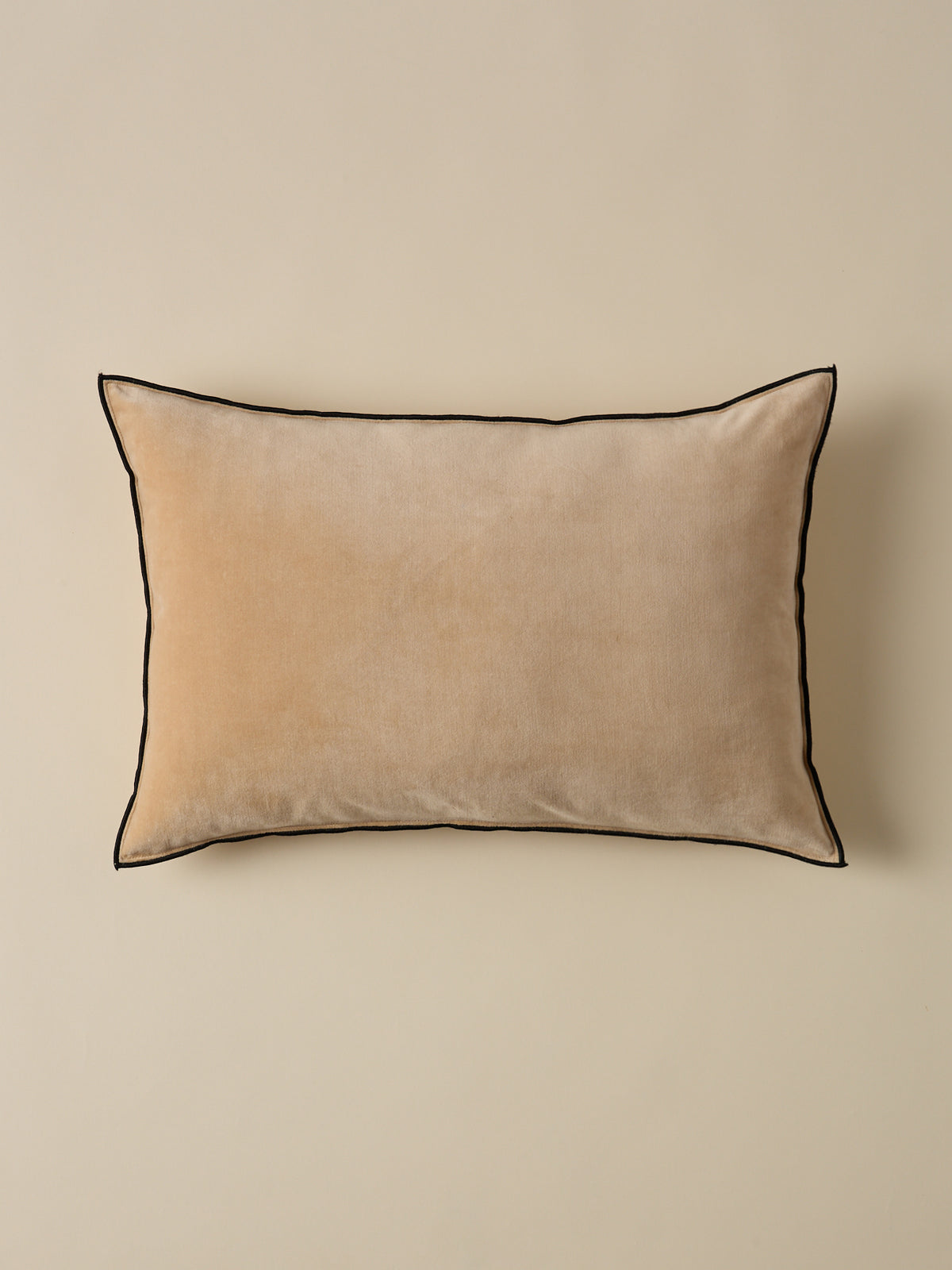 Housse de coussin en velours