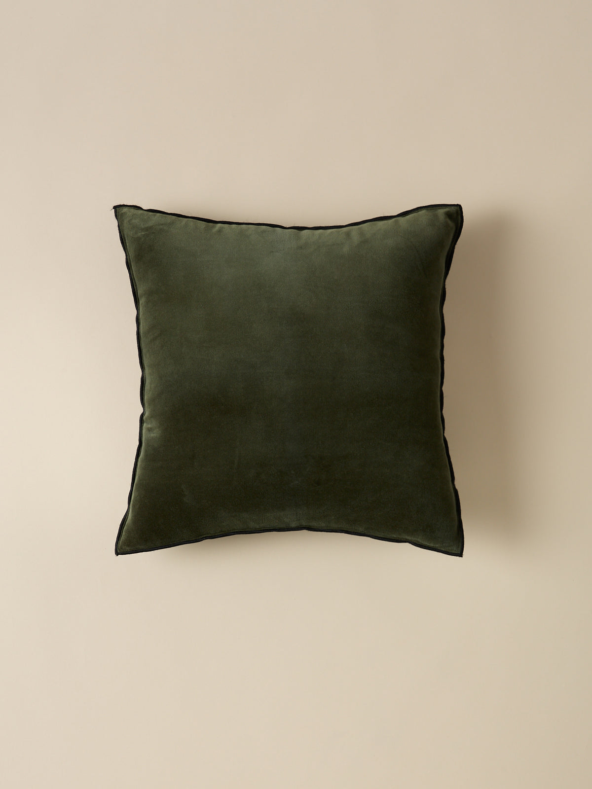Housse de coussin en velours