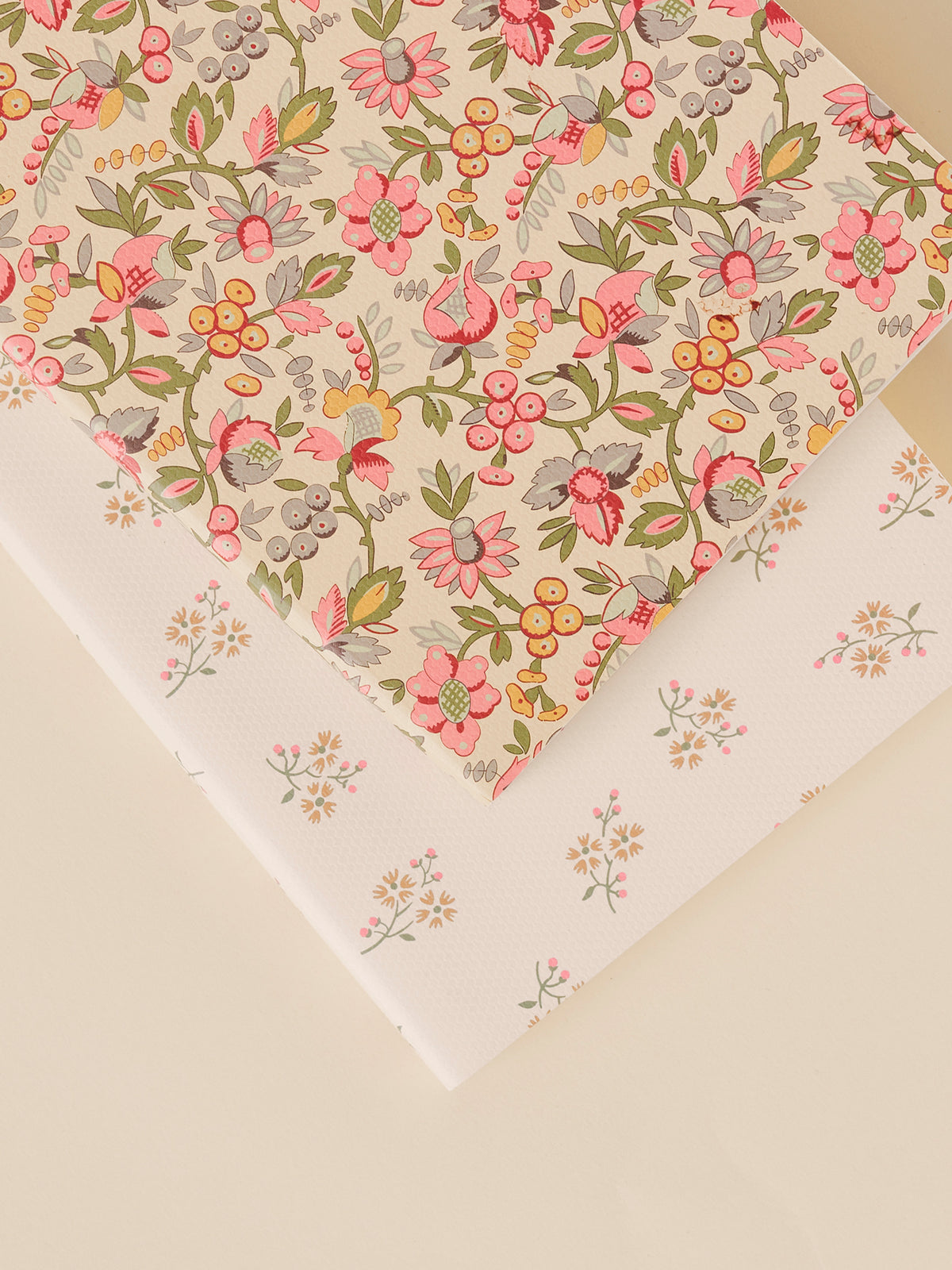 Lot de 2 carnets