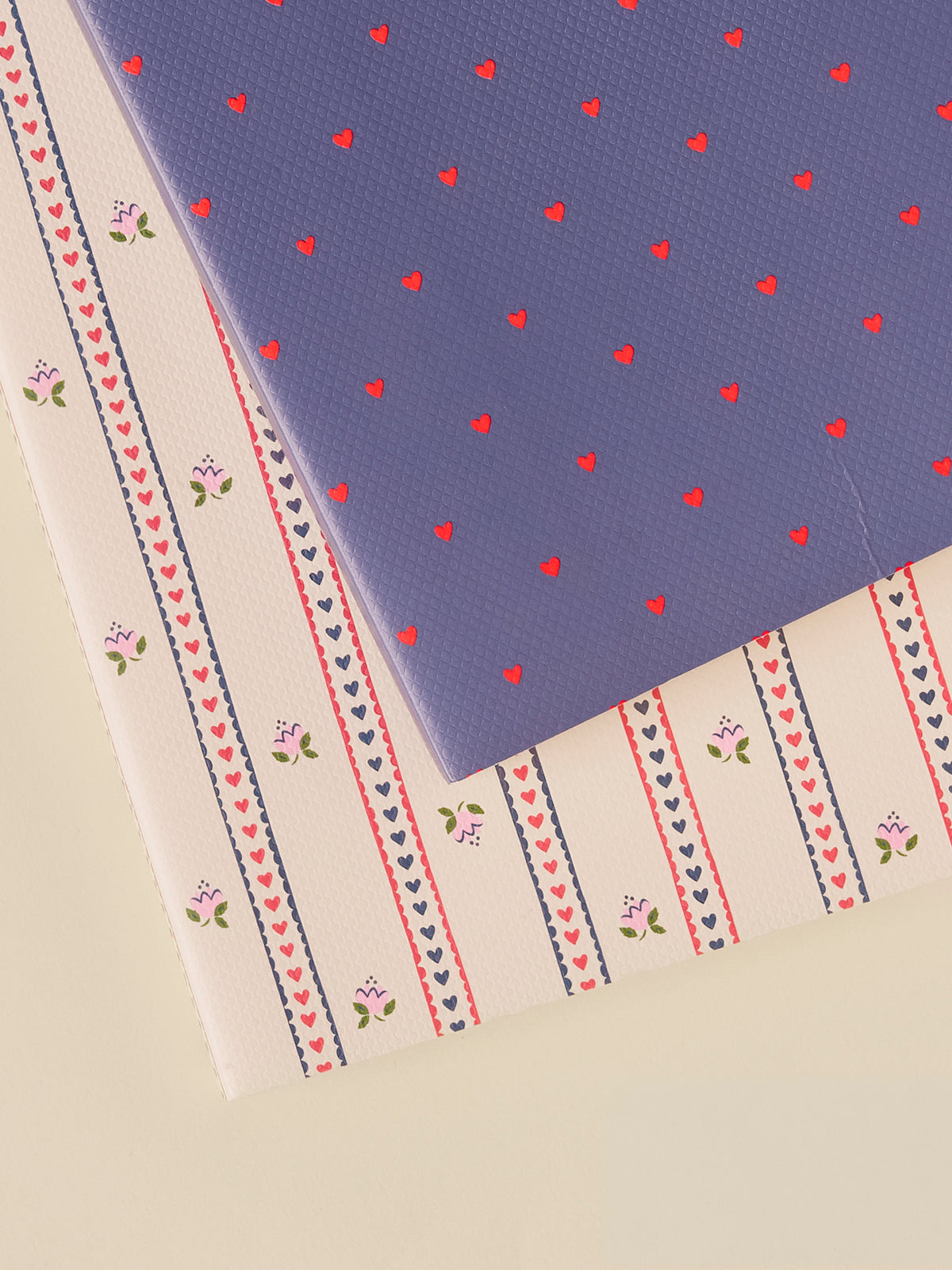 Lot de 2 carnets