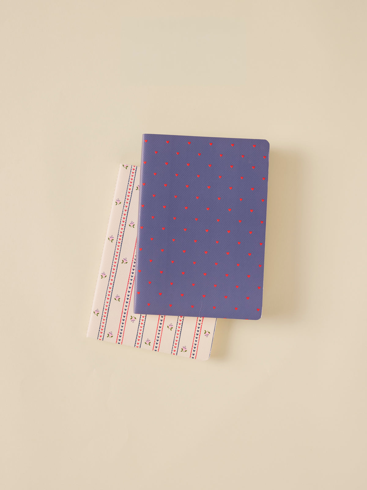 Lot de 2 carnets