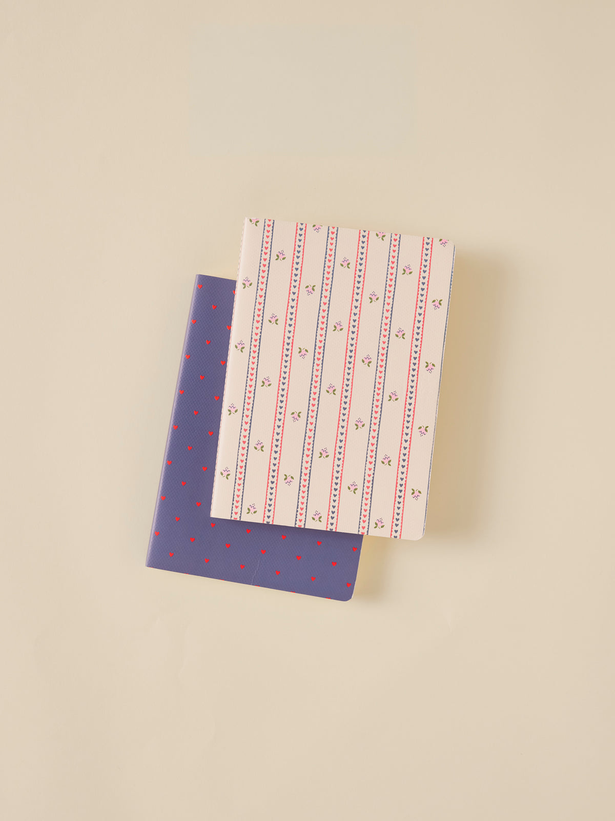 Lot de 2 carnets