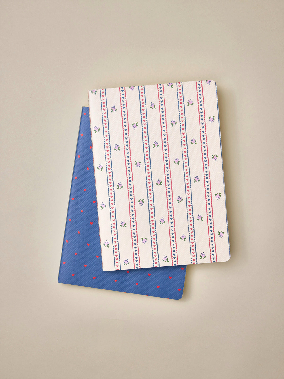 Lot de 2 carnets