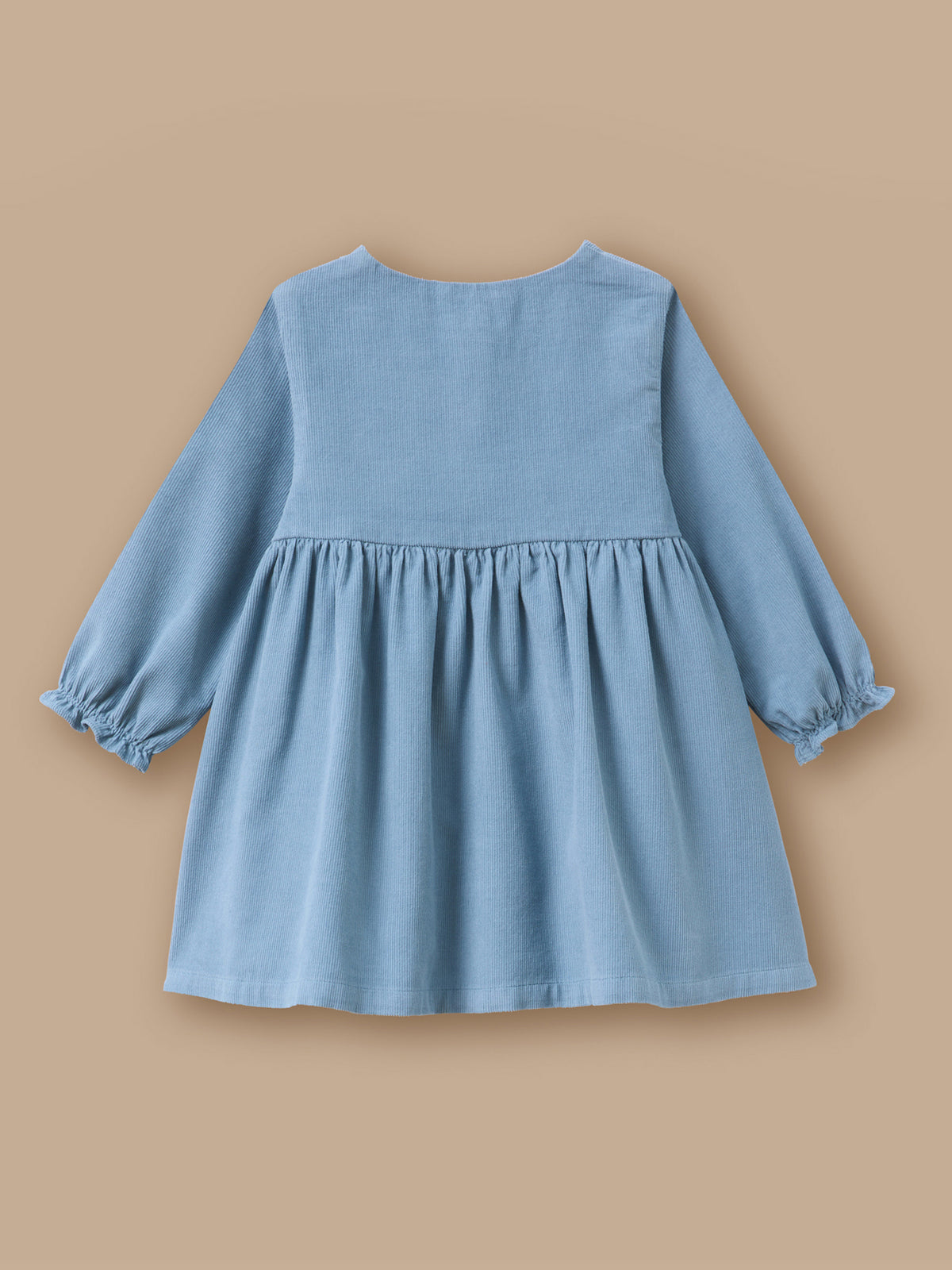 Robe velours et broderie Bébé
