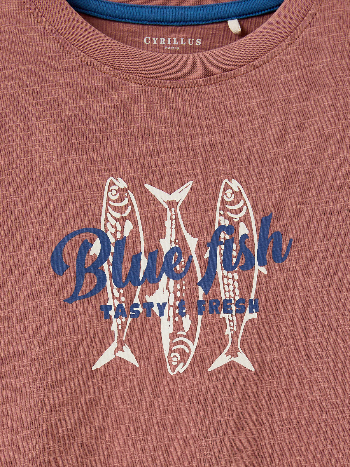 T-shirt imprimé garçon - Coton biologique