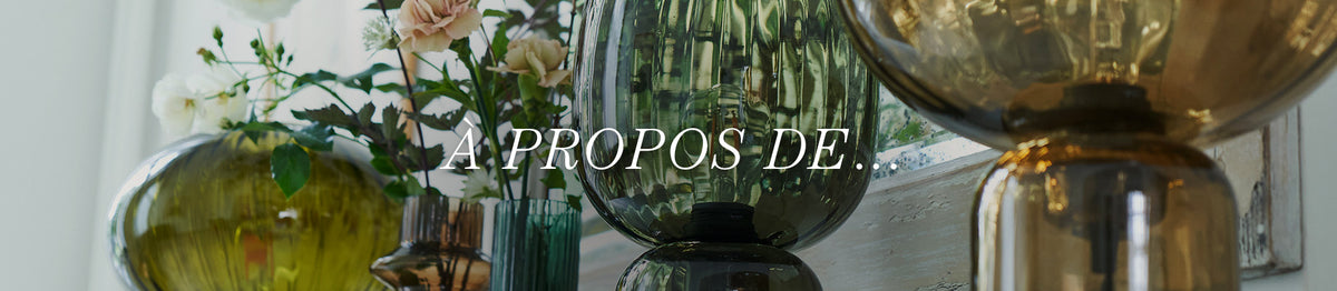 Bandeau_bas_SHP_a_propos_FR