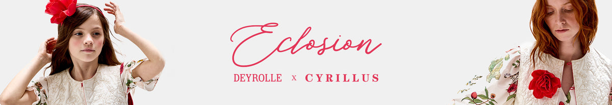 Banniere_Deyrolle_FR
