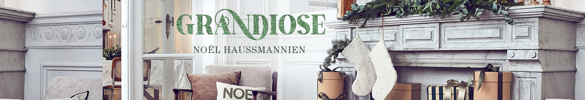 Banniere_Haussmannien_FR