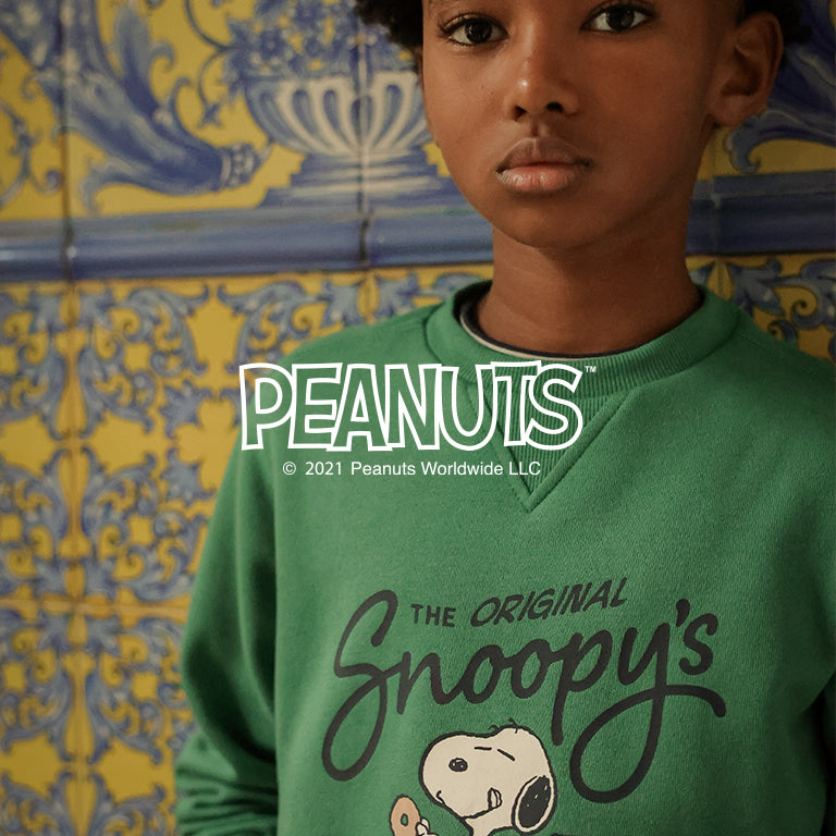 Layer_peanuts_923a3ccf-bc89-4d0f-9b52-b821dfdaa2dd